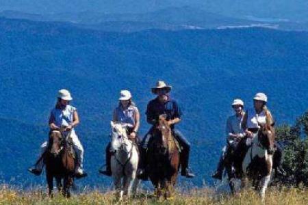 Backcountry新人首单85折折扣码怎么获取?