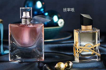 Flaconi怎么填地址?付不了款怎么办?