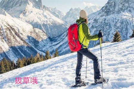 始祖鸟和patagonia哪个好？