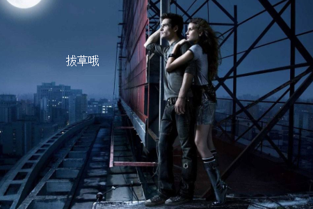 海淘Levis的网站有哪些?
